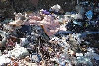 В Краснодарском крае обнаружена свалка биологических отходов