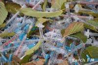 В Республике Марий Эл отходы из стоматологии выбрасывали в мусорные контейнеры у жилых домов